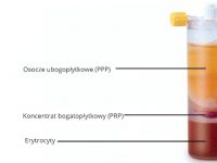 Czynniki wzrostu