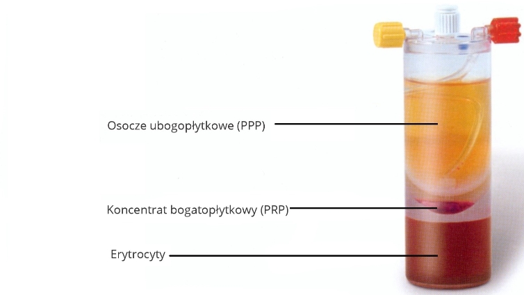 Czynniki wzrostu